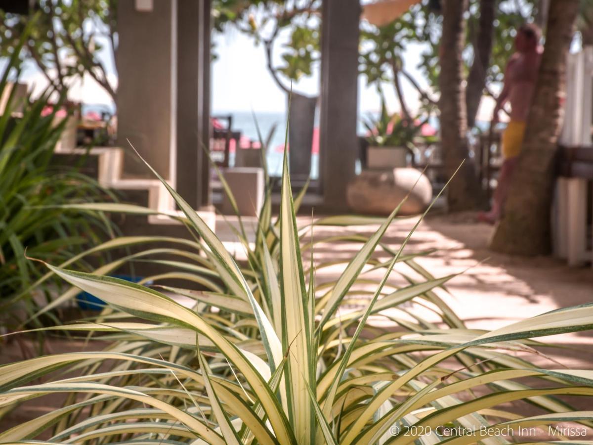 Central Beach Inn Mirissa Εξωτερικό φωτογραφία